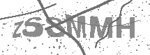 visual captcha